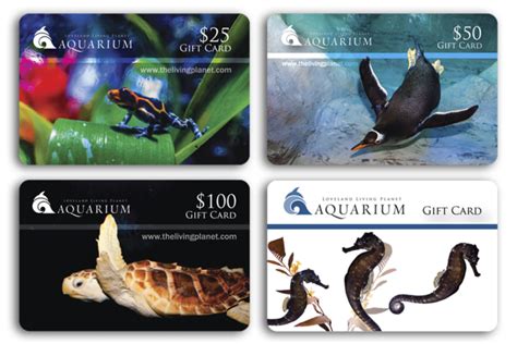 baltimore aquarium gift card